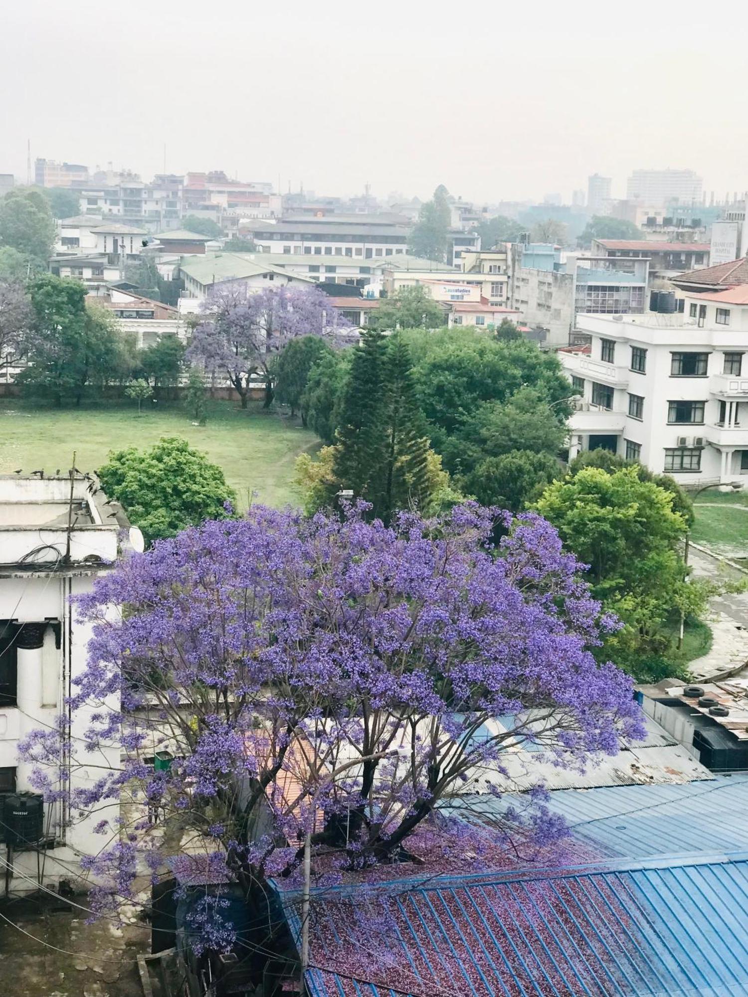 Hotel Maya Boutique & Apartment كاتماندو المظهر الخارجي الصورة